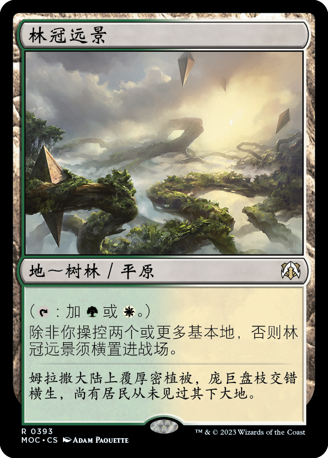 林冠远景
